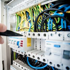 Begutachtung im akuten Schadensfall
